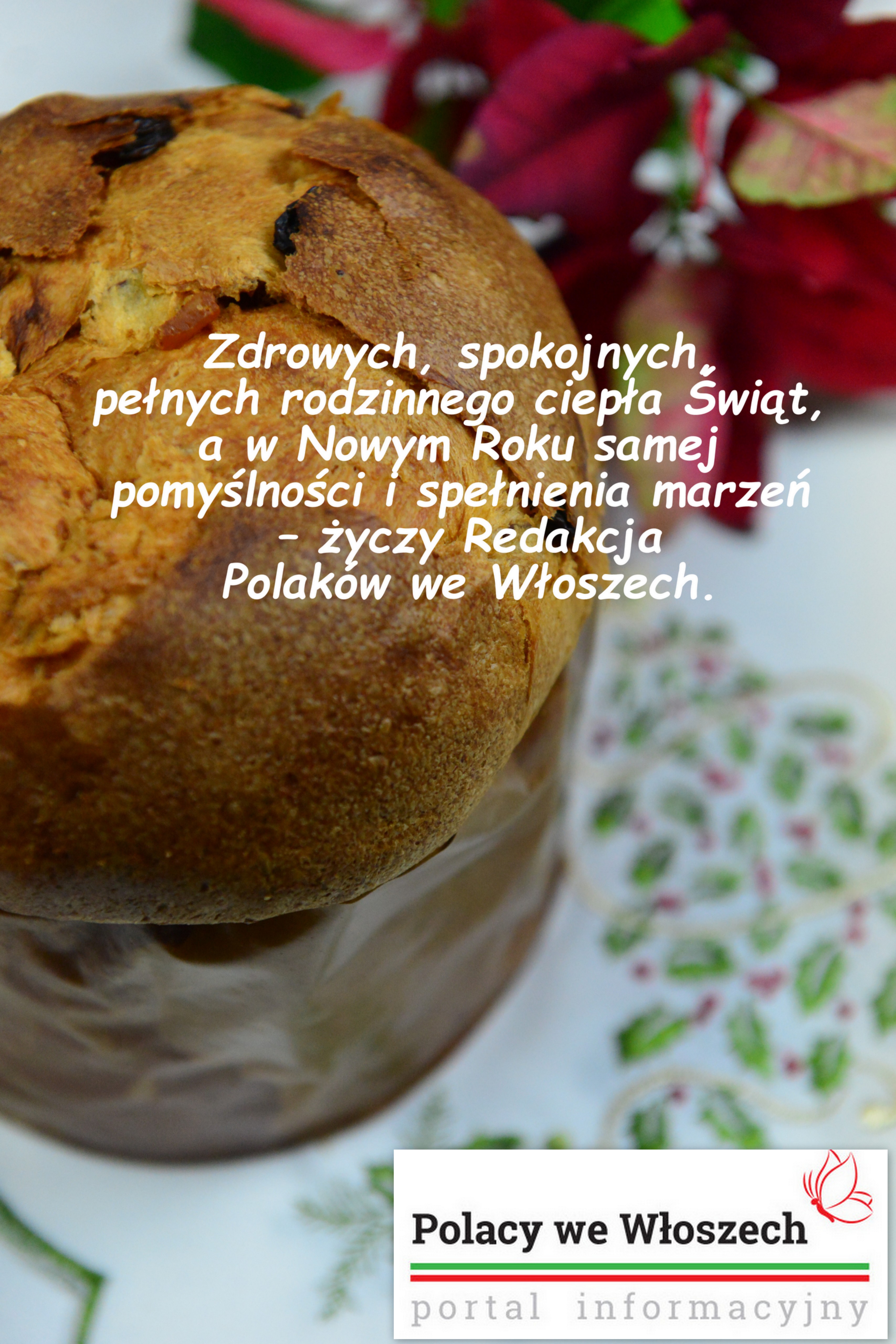 Panettone_zyczenia_polacy_we_wloszech