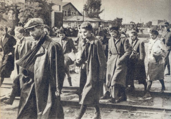 Sanitariuszki w drodze do niewoli