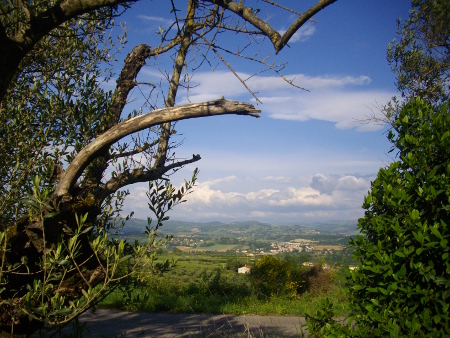 panorama_umbria_polacy_we_wloszech