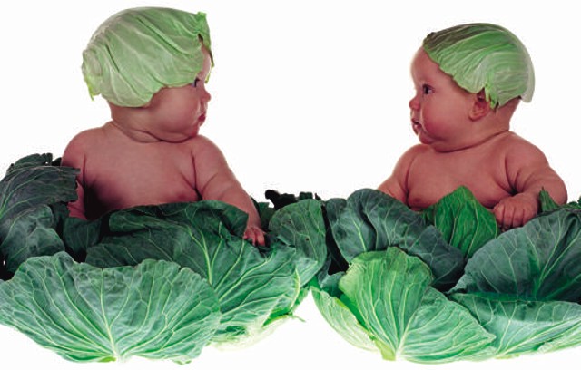 fot. vivivegan.com